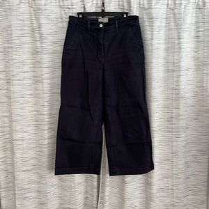 Everlane Wide Leg Crop Pant